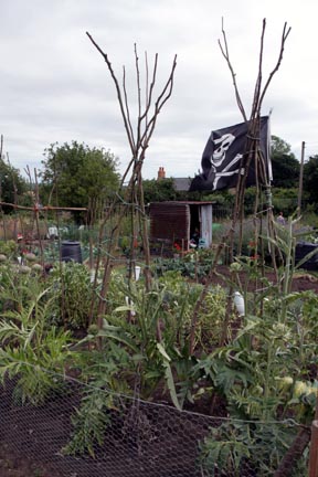 Allotments 7.jpg